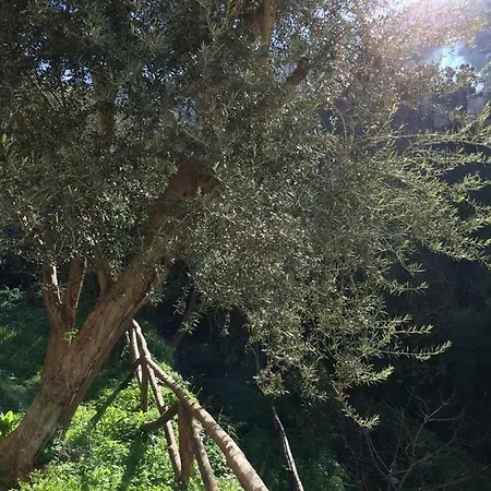 Casa D'amare