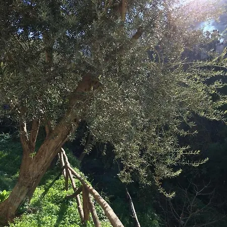 Casa D'amare